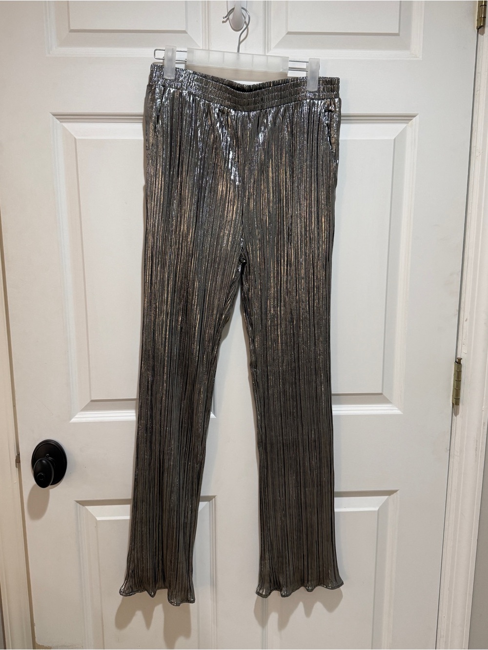 Dressed in LALA Metallic Silver Pleated Straight-Leg Pants